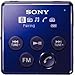 【Amazonの商品情報へ】SONY ワイヤレスオーディオレシーバー バイオレッド DRC-BT60P/V
