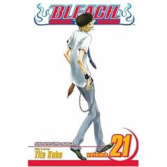 Bleach: v. 21 (Bleach)
