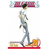 Bleach, Vol. 21