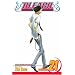 Bleach: v. 21 (Bleach)
