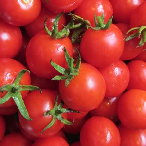 JayseedsTM Organic Cherry Tomato Sugar Sweetie 50 Seeds #992 Item Upc#650348691486
