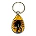 Black Scorpion Key Chain Tear Drop Amber