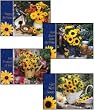 Scripture Greeting Cards-KJV-Boxed-All Occasion - "Country Gardens"
