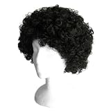 Economy Black Afro Wig ~ Halloween 1960s or 1970s Costume Party Wig