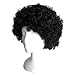 Economy Black Afro Wig ~ Halloween 1960s or 1970s Costume Party Wig (STC13032)