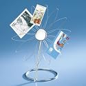 Umbra Posy Metal Desktop Photo/Memo Holder