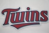 Minnesota Twins Team Name MLB Car Magnet