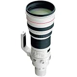 Canon EF 600mm f/4L IS USM Image Stabilizer AutoFocus Telephoto Lens with Case & Hood -Refubished By Canon USA