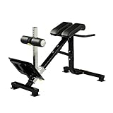 Powertec Fitness P-HC10 45-Degree Dual Hyperextension / Roman Chair