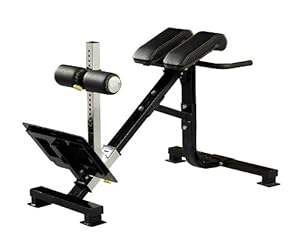 Amazon.com: Powertec Fitness P-HC10 45-Degree Dual Hyperextension / Roman Chair: Sports & Outdoors
