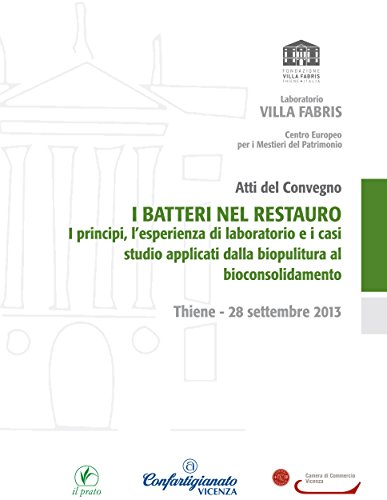 I batteri nel restauro (Italian Edition)