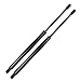 2pcs 6137 Rear Hatch Trunk Tailgate Liftgate Gas Lift Supports Struts Shocks for Nissan Xterra 2005-2013 90450ZL80A 90450EA00