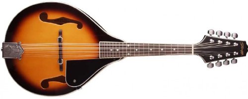 Stagg M20-S Bluegrass Mandolin with Solid Spruce Top - Violin Burst On Sale