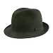 41HqFUp7 xL. AA75  Pantropic LiteFelt Charlie Fedora Hat