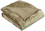 Aeolus Down Microplush Down Alternative Throw, Sage