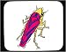 Mouse Pad with bug, insect, leafhopper, colorful