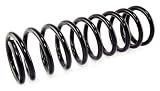 Omix-Ada 18283.01 Coil Spring Set