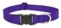 Lupine 1" Purple 12-20 Adjustable Dog Collar