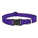 Lupine 1" Purple 12-20 Adjustable Dog Collar