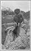 Photo Child and porcupine 1900