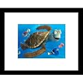 Surfing the Current Framed Lithograph - 12.25x15.25"