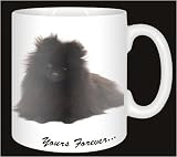 \"POMERANIAN