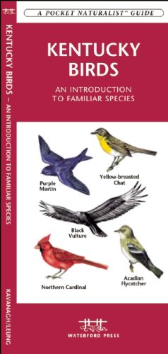 Kentucky Birds: A Folding Pocket Guide to Familiar Species (Pocket Naturalist Guide Series)