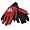 Ohio State Buckeyes