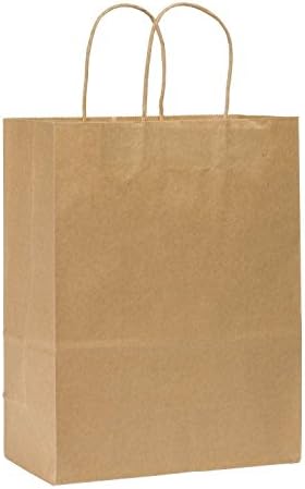 Metronic International Kraft Paper Bags, Shopping,Wedding, Mechandise, Party, Gift Bags,pack of 100 (10x5x13" Natural)