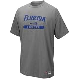Nike Florida Gators Ash Lacrosse Practice T-shirt
