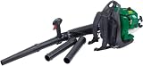 Draper Expert 13793 30 cc Petrol Backpack Blower