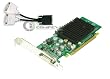 nVidia Quadro NVS 285 PCI-E x16 Video Card