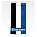 Arminia Bielefeld Duschtuch '3 Streifen'