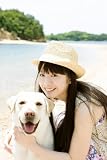 夏帆写真集 Ｂｒｅｅｚｅ　ｗｉｔｈ　きな子