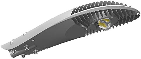 Rantoon LED COB Chip Street light 60w Blue Light House Color AC100-305V Outdoor Commerical street-and-area-lighting