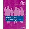 Sozialpsychologie kompakt
