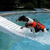 Gamma Skamper Ramp Super Pool Ramp for Pets