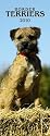Border Terriers 2010 Slim