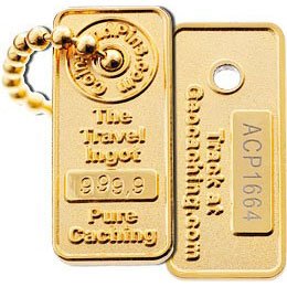 The Travel Ingot Gold