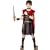 Gladiator Child Costume Size Large for age range 9-12 years