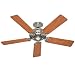 Hunter 25518 Summer Breeze 52-Inch 5-Blade Ceiling Fan, Brushed Nickel with Chestnut/Maple Blades