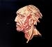 The Hungry Ghost-Hungry Ghosts
