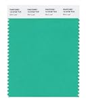 PANTONE SMART 15-5728X Color Swatch Card, Mint Leaf