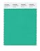 PANTONE SMART 15-5728X Color Swatch Card, Mint Leaf