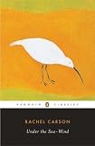 Under the Sea Wind (Classic, Nature, Penguin)
