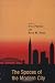Books : The Spaces of the Modern City: Imaginaries, Politics, and Everyday Life