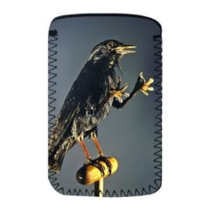 info iphone+occult