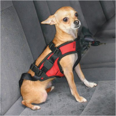 Red Dog Safety Harness Xsmall