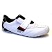 Swerve Xp 7-20SPM2231-237 Lacoste
