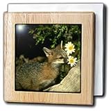Gray Fox - 6 Inch Tile Napkin Holder